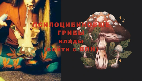 гидра Алексин